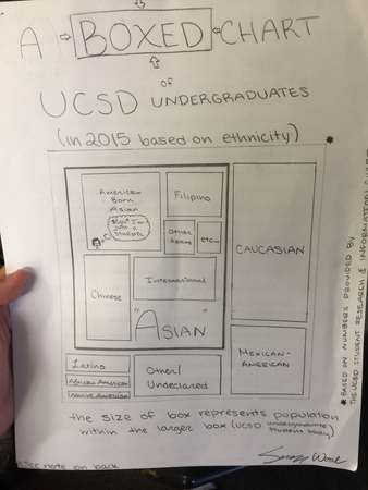 A Boxed Chart of the UCSD Ethnicity Make-Up