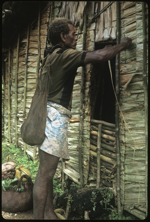 Larikeni weaving leaves into building wall.