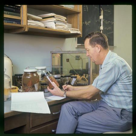 Dr. Fager analyzing specimen