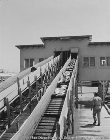 Tuna on conveyor track to weighing room at San Diego cannery