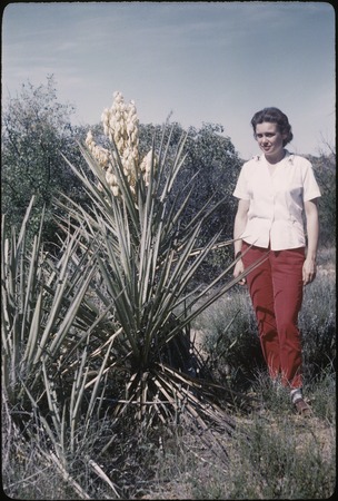 Joyce Kensler near Yucca schidigera, between Escondido and Santa Clara