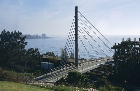Scripps Crossing Pedestrian Bridge: view from the north east side