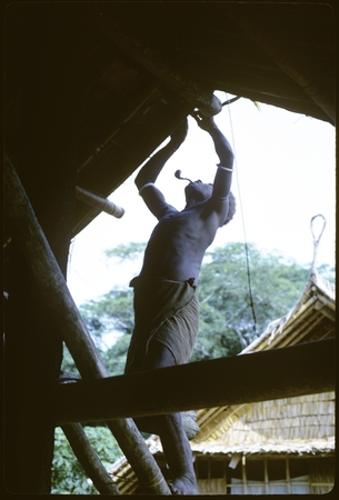 Men working on the ridge piece of house thatching, and putting it on the roof.