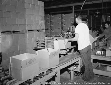 Cannery worker placing boxes on conveyor
