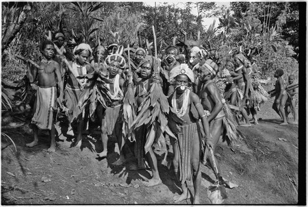 Pig festival, stake-planting, Tuguma: Tsembaga men with stakes, cordyline and aglaonema leaves, expelling enemy spirits