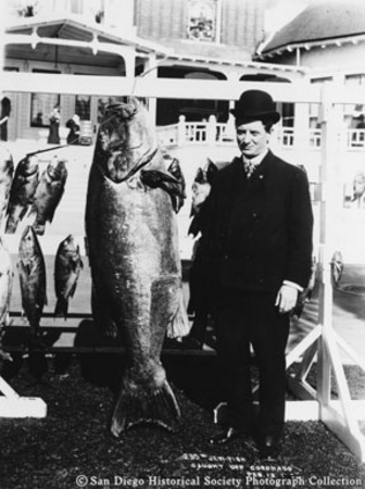 [Man posing with giant sea bass caught off Coronado]