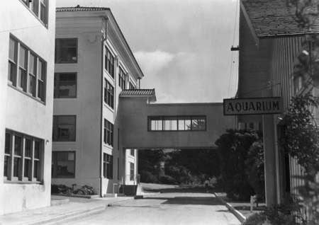 Scripps Institution of Oceanography Library (back left) with walkway connecting it to George H. Scripps Memorial Marine Bi...