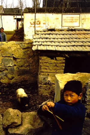 Child standing next to a pigsty (1 of 2)