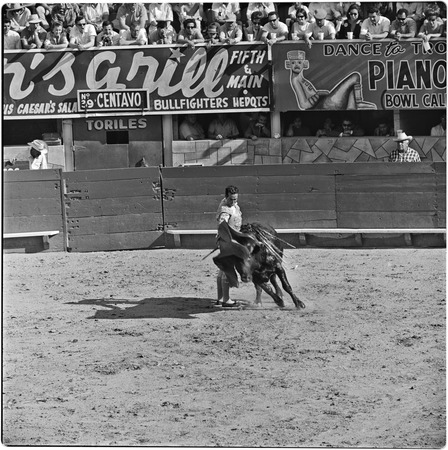 Bullfighting at La Plaza de Toros El Toreo de Tijuana