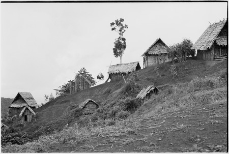Megiranu, Wanuma Census Division: houses