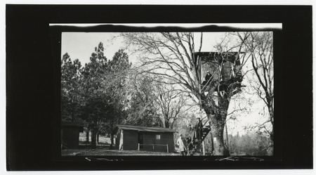 People at a tree house, Pine Hills