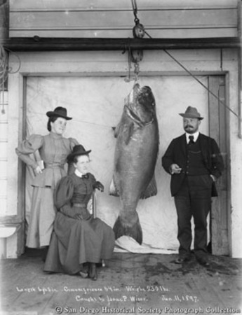 Isaac P. Wiser and two women posing with catch of giant sea bass