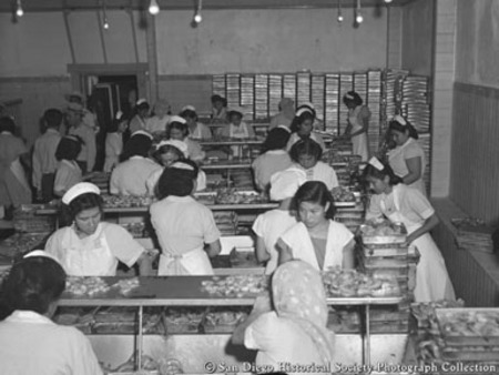 Women working at American Agar Company kelp processing facility