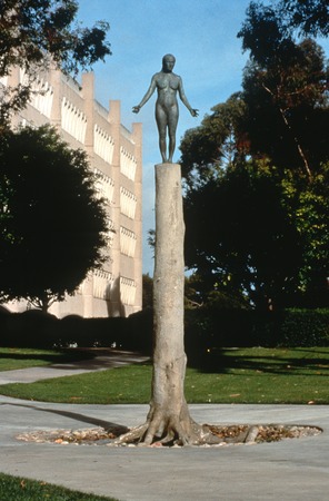 Standing: general view with UCSD School of Medicine in background