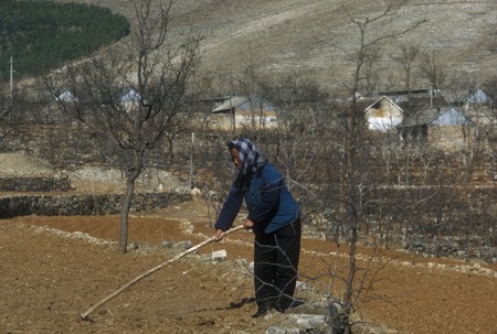 Preparing the Soil for Spring Planting