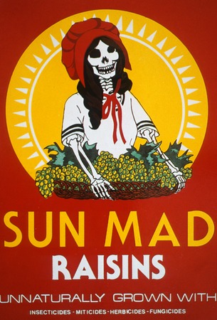 Sun Mad Raisins