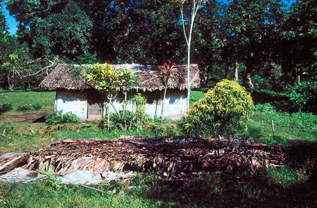 Hurricane Flattened House, Waileni