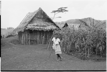 Megiranu, Wanuma Census Division: house with raised doorway, walls of wood heaped between poles