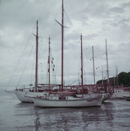 Ships in harbor