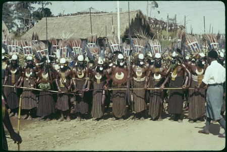 Mount Hagen show: Medlpa (Melpa) dancers wearing elaborate shell valuables, looped-string net skirts, and tall feather hea...