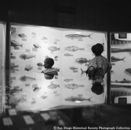 Woman and young boy looking at Scripps Aquarium display