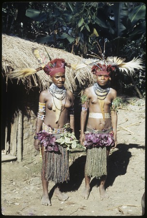 Bride price for Aina: young women wearing elaborate plumes head dresses, face paint, and other ornaments