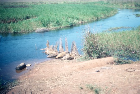 Fishing weir and traps on Choma river near Kaputa village