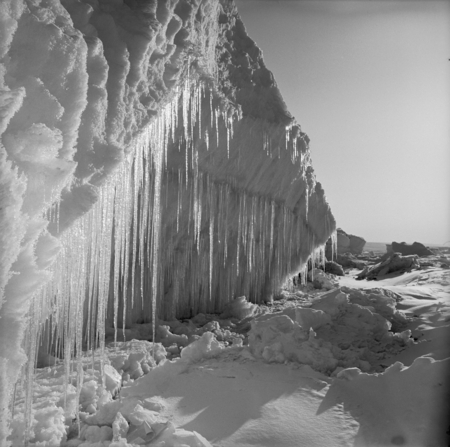 Icicles on the sea cliff