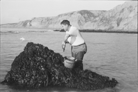 Denis Llewellyn Fox collecting specimens on beach at Scripps Institution of Oceanography
