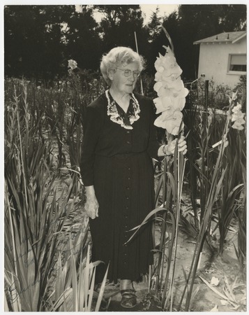 Elizabeth Briggs among gladiolus, Encinitas
