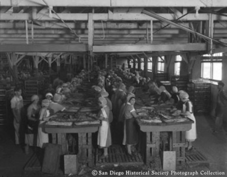 Women packing fish at Westgate Sea Products Company