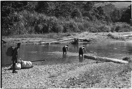 Aiome to Ambaiat: carriers drink from the Aringying River near Jamenke