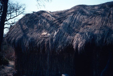 Fish drying on the thatched roof of a grass-walled building at Kasongole village on Lake Mweru Wantipa