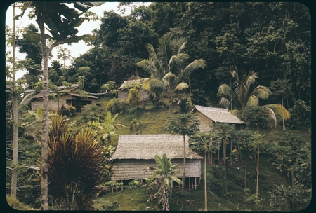 Village on hillside