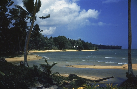 Beach on Viti Levu