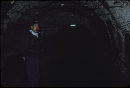 In the Coal Mine
