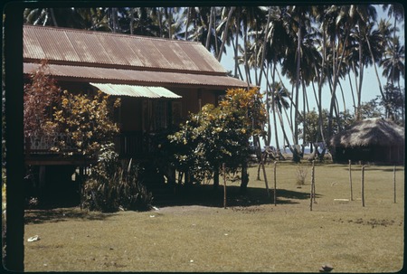 Houses and coconut palms, Papetoai, Moorea