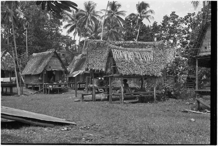 Tukwaukwa village on Kiriwina: houses