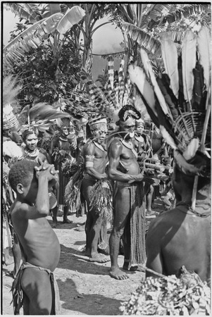 Pig festival, singsing, Kwiop: decorated men with feather headdresses and cordyline bundles