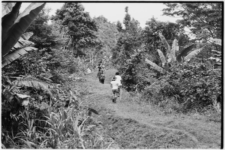 Atitau-Wanuma trail: carriers on with Pete Vayda