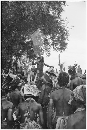 Pig festival, stake-planting, Tuguma: man gestures with spear while other men gather