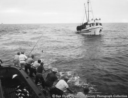 Tuna boats and tuna fishermen