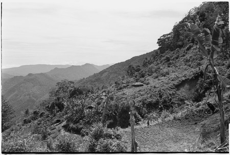 Bismarck Range mountains, view of distant house in Tsembaga