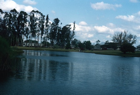Ngoma pond and buildings on campus of the University of Zambia