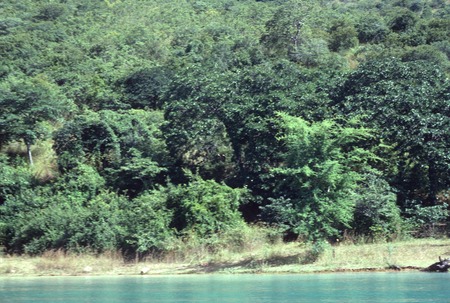 View of shore of Lake Kariba, from a tour boat