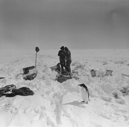 Eugene N. Gruzov (left) and Alexander F. Pushkin (right) prepare to dive in a hole, with Adelie penguin