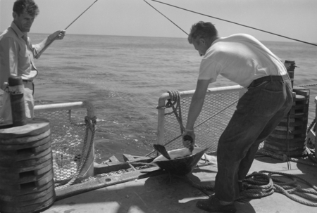 [Two men with sea turtle on deck of R/V Spencer F. Baird]