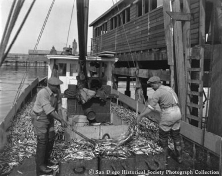 Two men on boat loaded with fish at Neptune Sea Food Company cannery