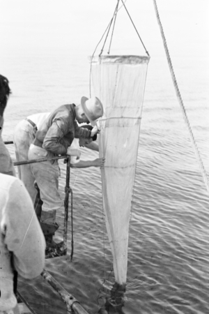 Martin Wiggo Johnson (in hat), during a plankton haul on board the R/V Scripps