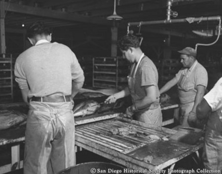 Cleaning fish at Sun Harbor Packing Corporation
